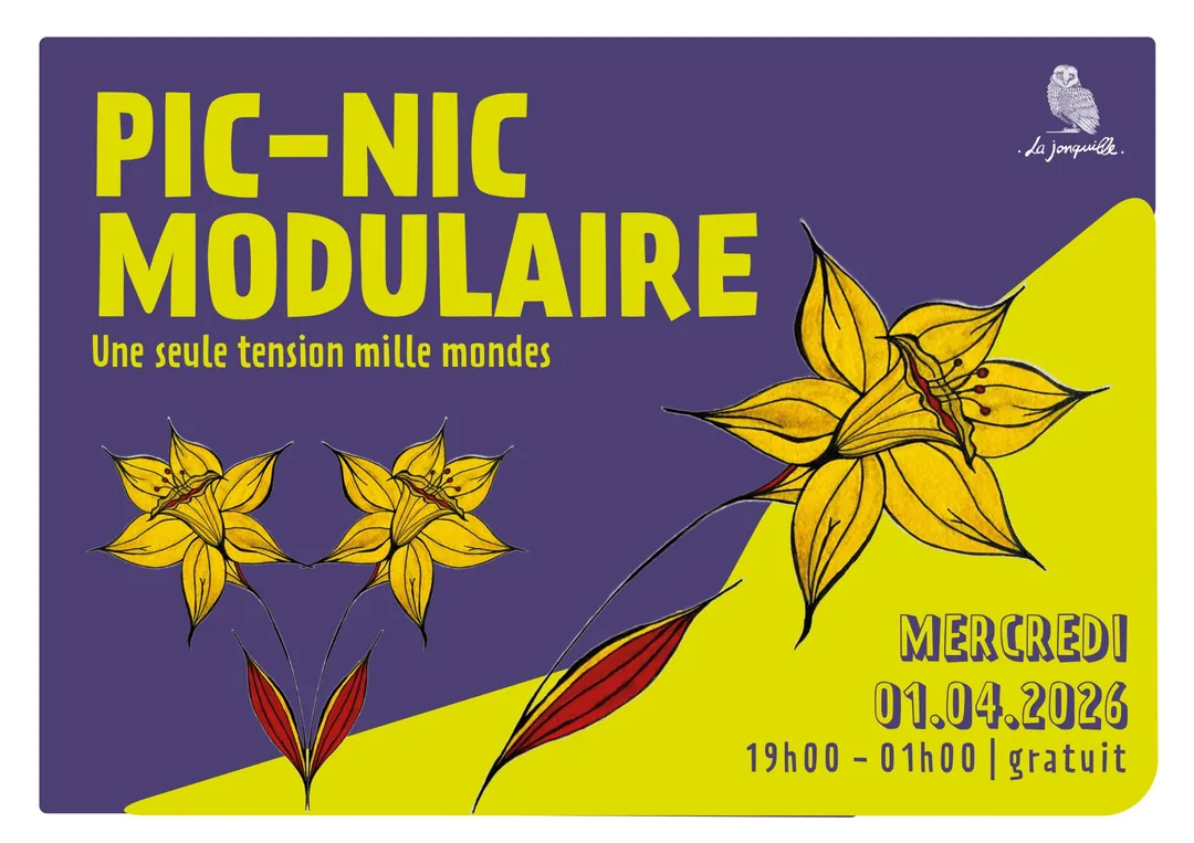PIC-NIC MODULAIRE - Une seule tension, mille mondes